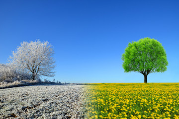 Thumb Image