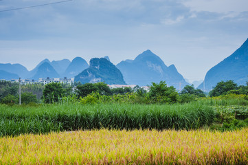 Thumb Image
