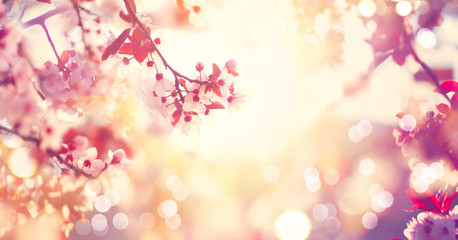 Thumb Image